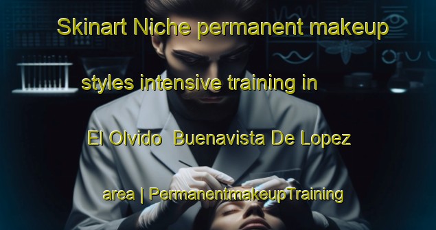 Skinart Niche permanent makeup styles intensive training in El Olvido  Buenavista De Lopez area | PermanentmakeupTraining | PermanentmakeupClasses | SkinartTraining-Mexico